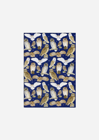Owls A5 Plain Paper Recycled Notebook