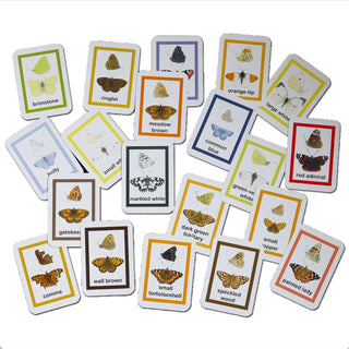 British Butterflies Flash Cards