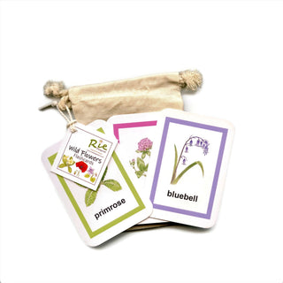 British Wild Flowers Flash Cards