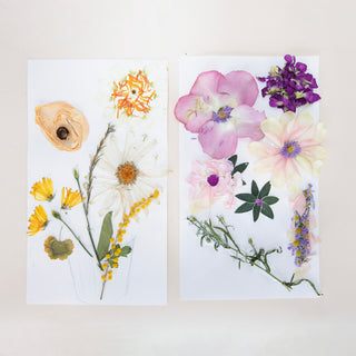Fantastic Flowers