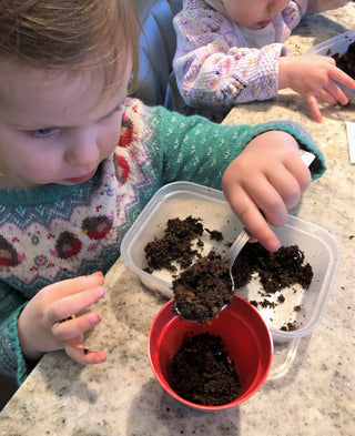 Children's Grow Your Own Cherry Tomatoes Growing Kit