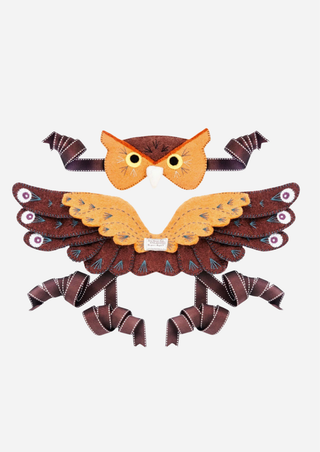 Owl Head Dress and Wings