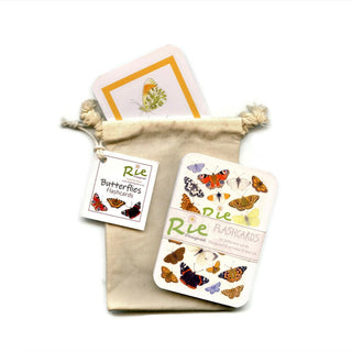 British Butterflies Flash Cards