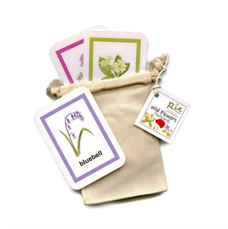 British Wild Flowers Flash Cards