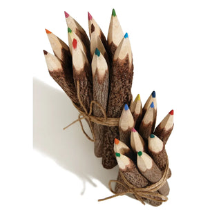Natural Twig Colour Pencils - Pack of 10 Large