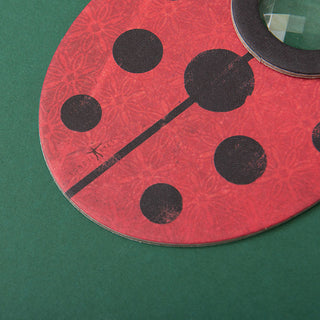 INSECT EYE - LADYBIRD