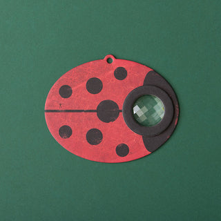 INSECT EYE - LADYBIRD