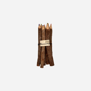 Natural Twig Colour Pencils - Pack of 10 Large